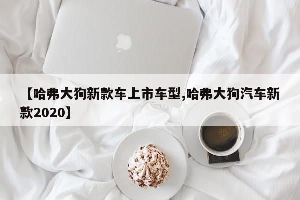 【哈弗大狗新款车上市车型,哈弗大狗汽车新款2020】